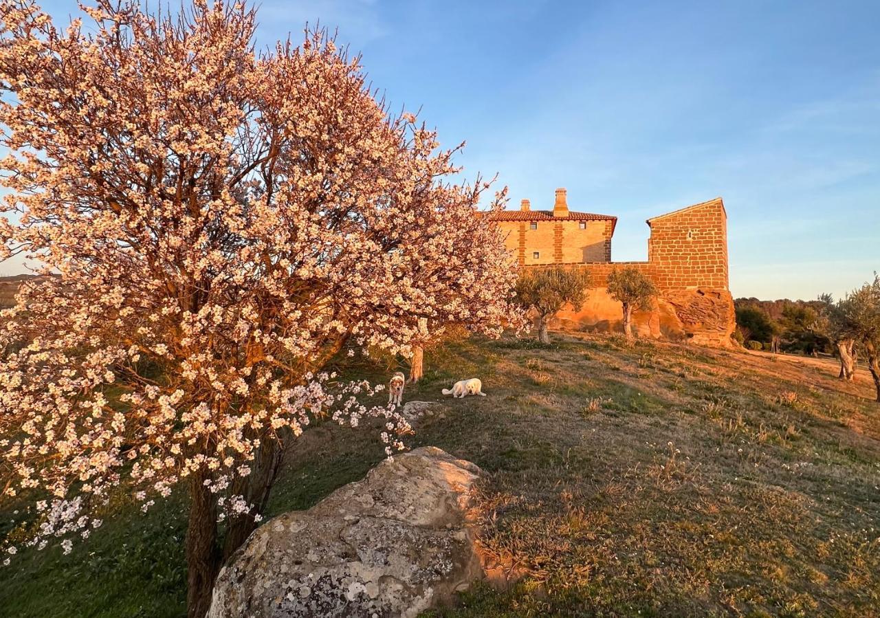 Castillo De Corvinos Huesca Exterior foto